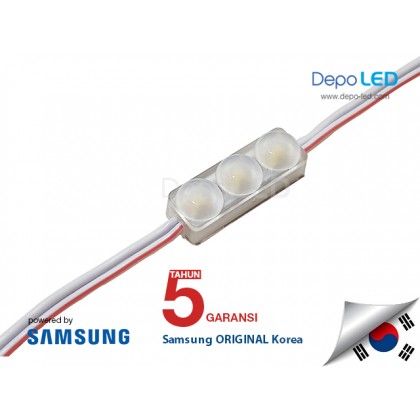 LED Module MINI ANX Korea 3 mata SMD 2835 | 12V IP68 Waterproof (KOREA)