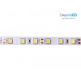 LED Strip SMD 5656 | 12V IP20/33 Indoor