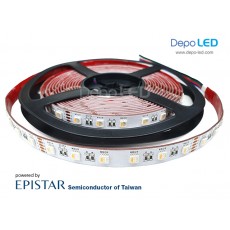 LED Strip RGBW EPISTAR SMD 5050 | 24V IP33 Indoor